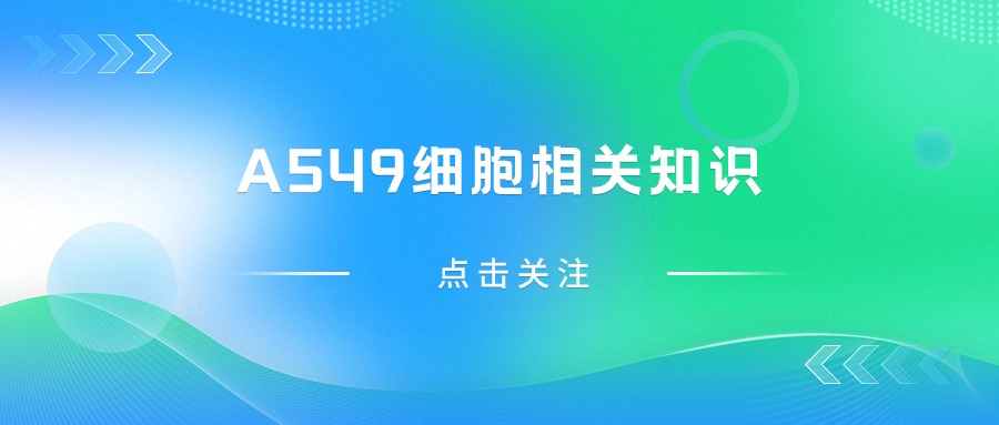 關(guān)于A549細(xì)胞，您不得不知道的一些操作