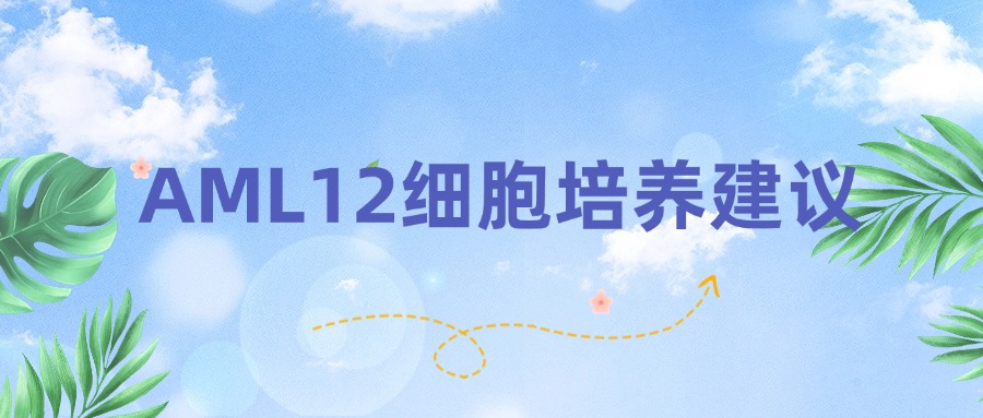 BIOCHANNEL 培養(yǎng)建議 | AML12細(xì)胞